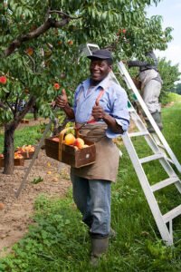 Farm Worker Jobs in Canada for Foreigners – Apply Online (2026 Complete Guide)